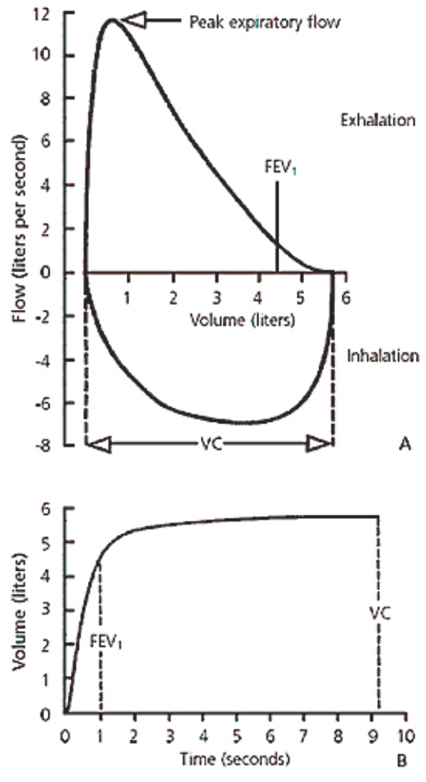 Spirometry Saans Foundation