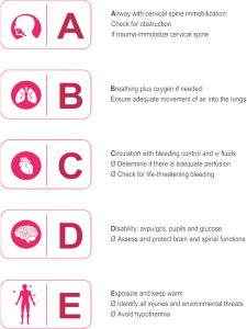 Airway breathing circulation disability exposure | Saans Foundation